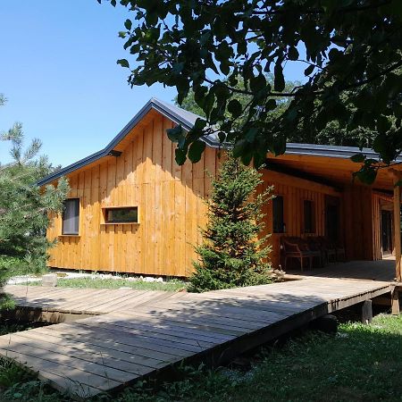 Nica Wood Villa Sremska Kamenica Exteriör bild
