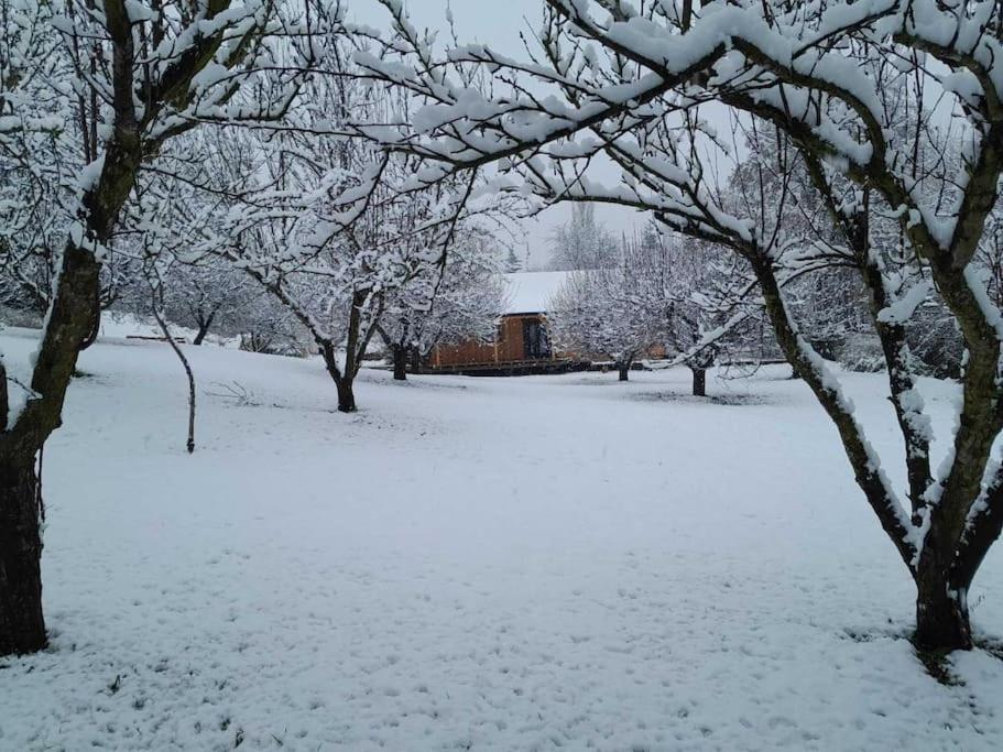 Nica Wood Villa Sremska Kamenica Exteriör bild