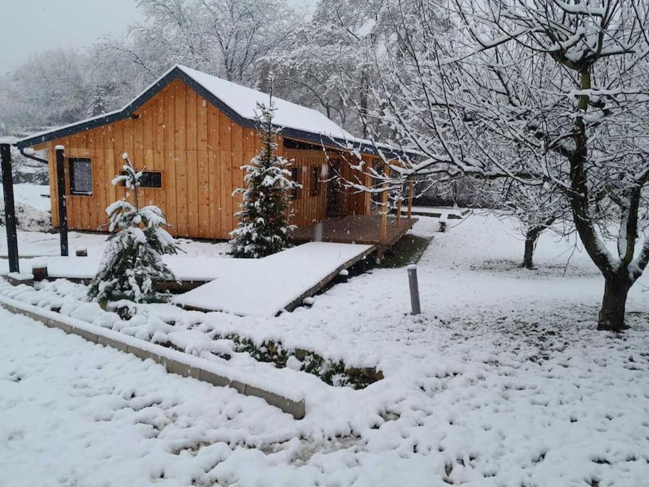 Nica Wood Villa Sremska Kamenica Exteriör bild