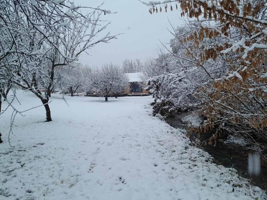 Nica Wood Villa Sremska Kamenica Exteriör bild