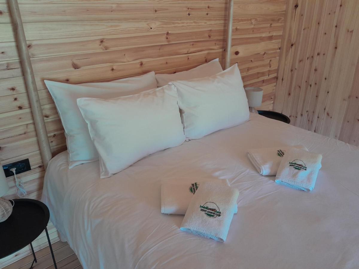 Nica Wood Villa Sremska Kamenica Exteriör bild