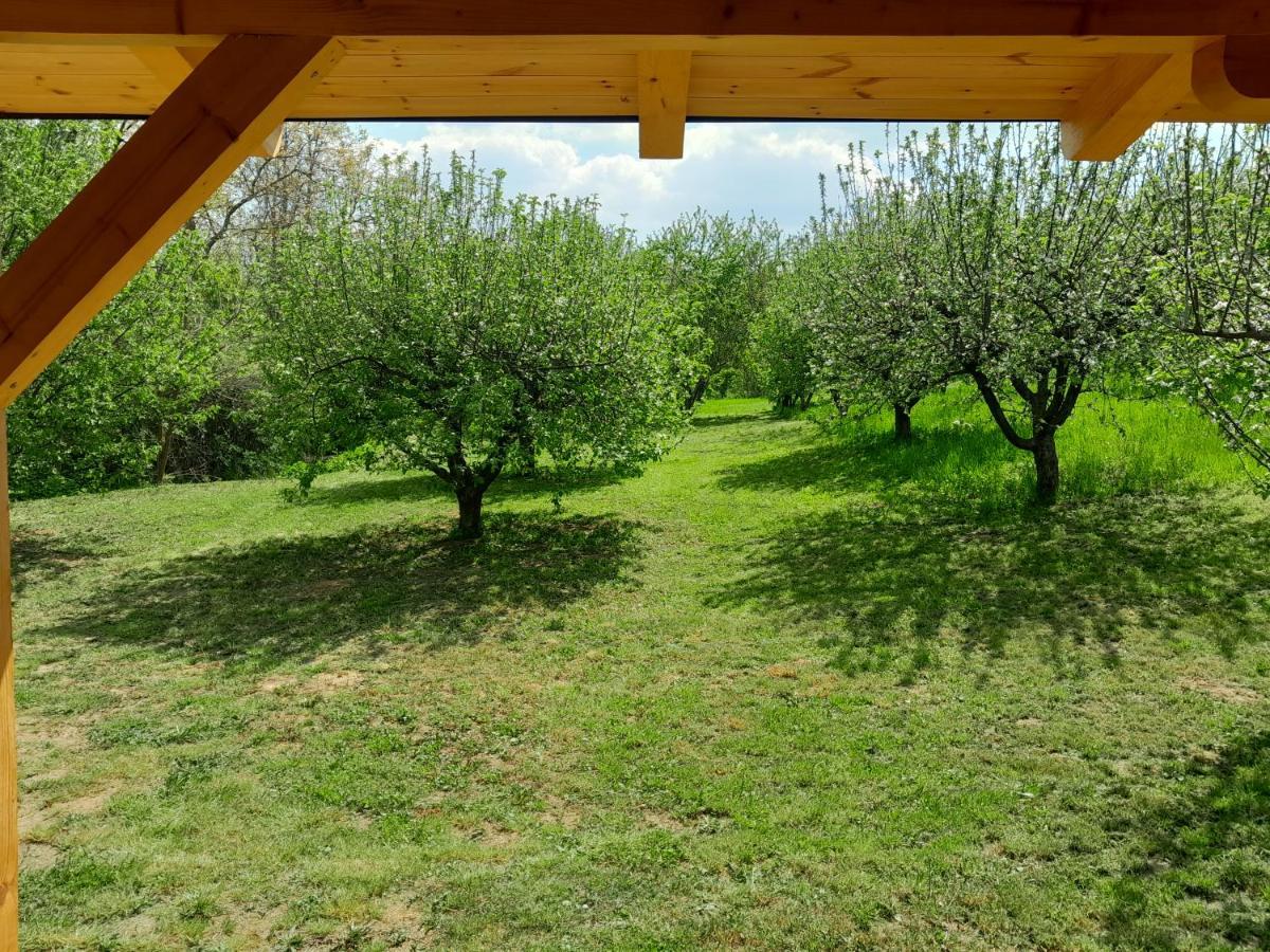Nica Wood Villa Sremska Kamenica Exteriör bild