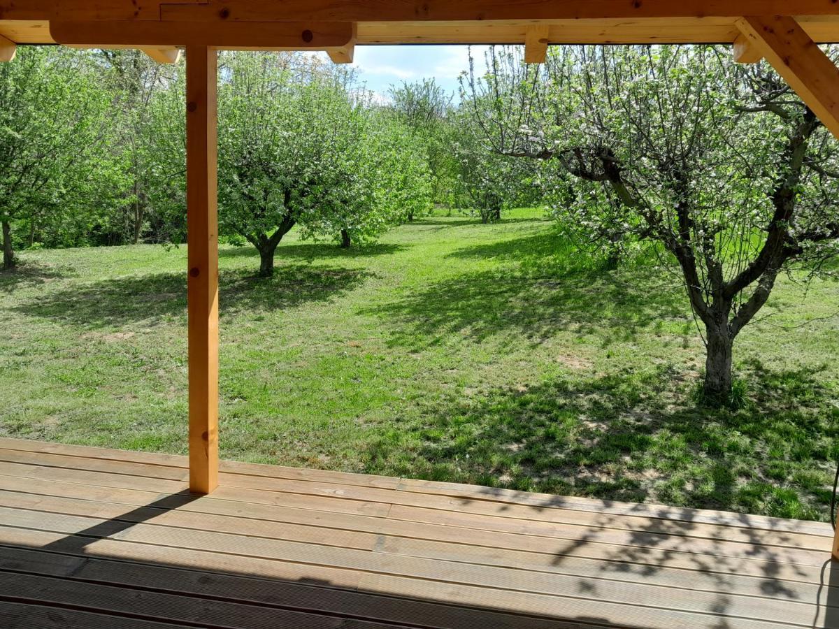 Nica Wood Villa Sremska Kamenica Exteriör bild