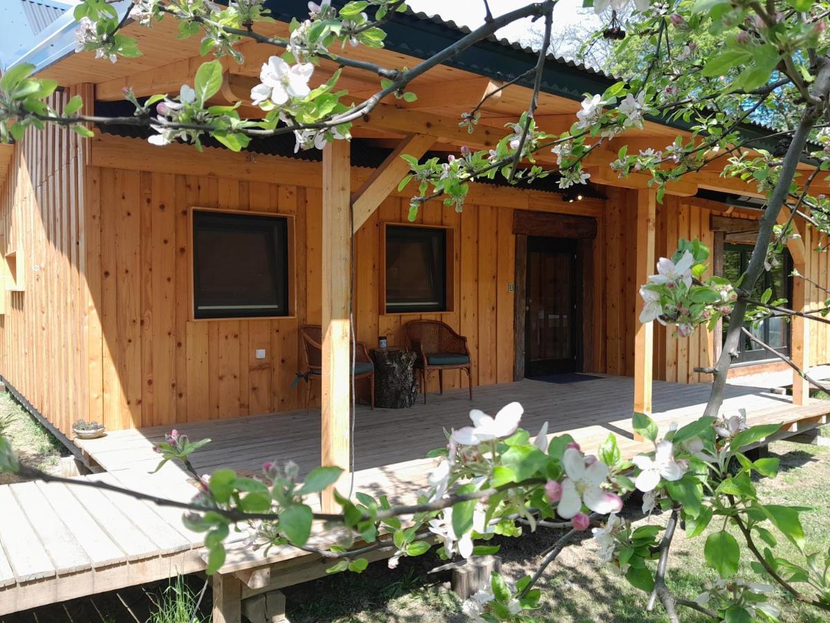 Nica Wood Villa Sremska Kamenica Exteriör bild