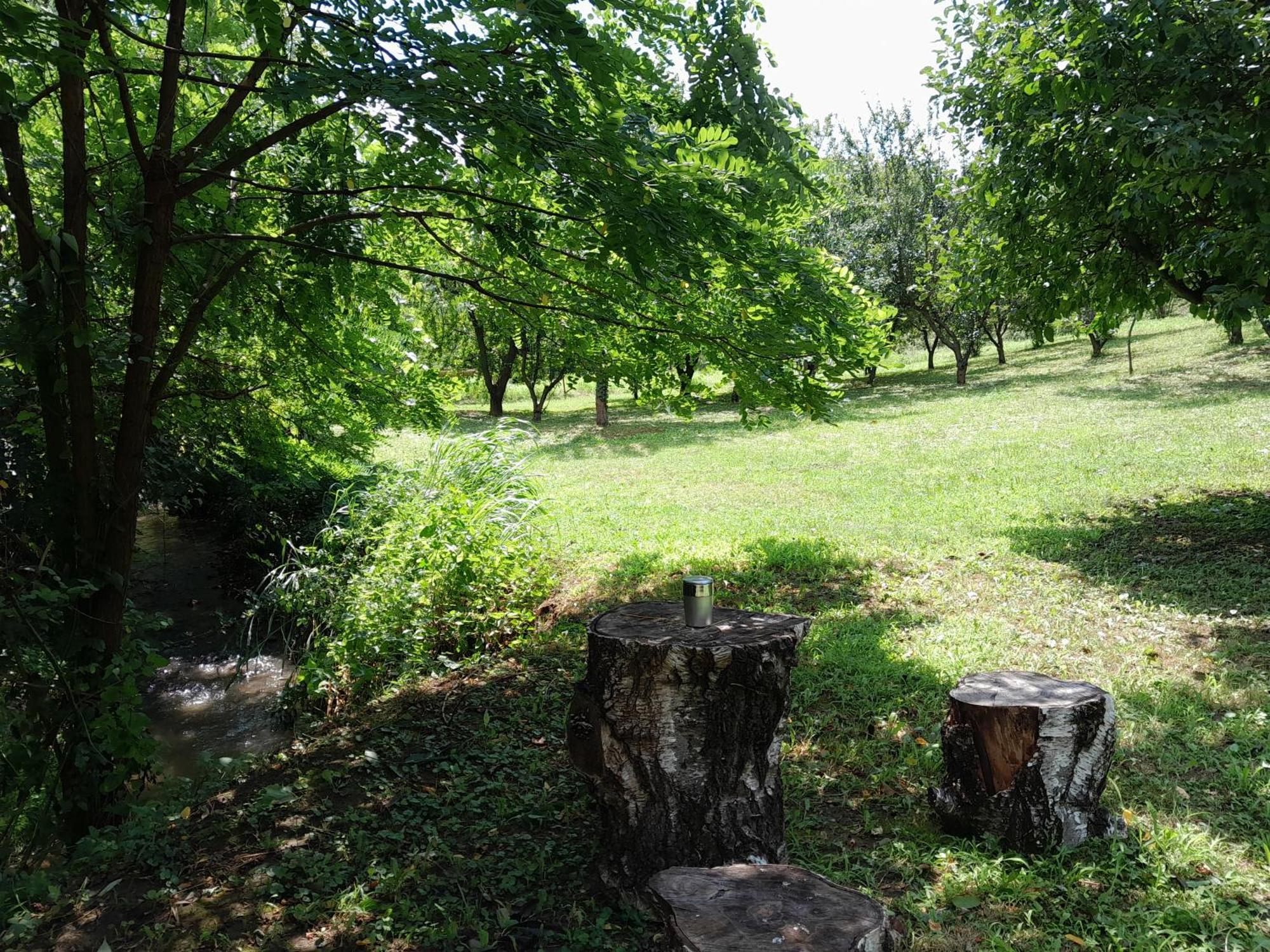 Nica Wood Villa Sremska Kamenica Exteriör bild