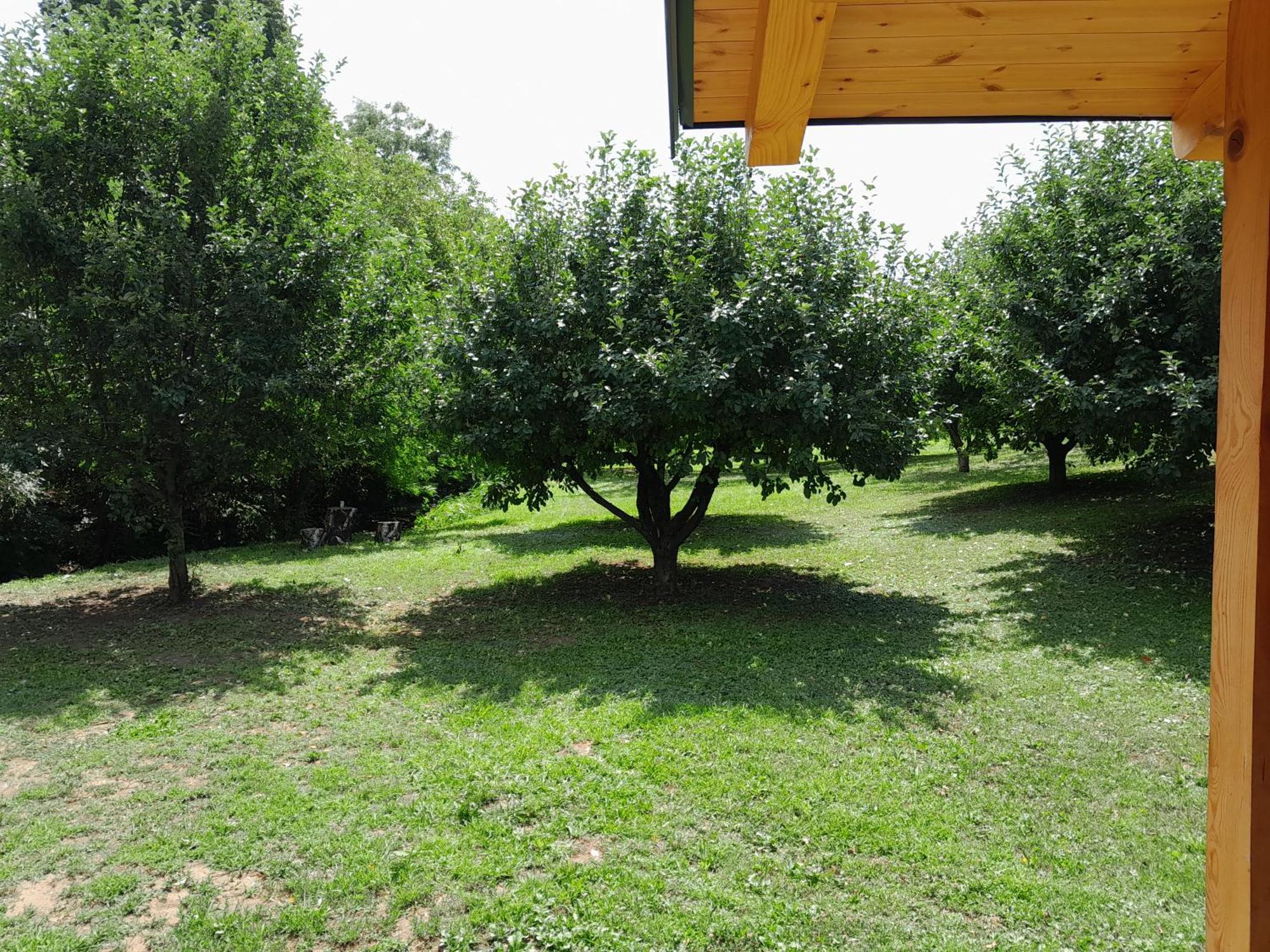 Nica Wood Villa Sremska Kamenica Exteriör bild