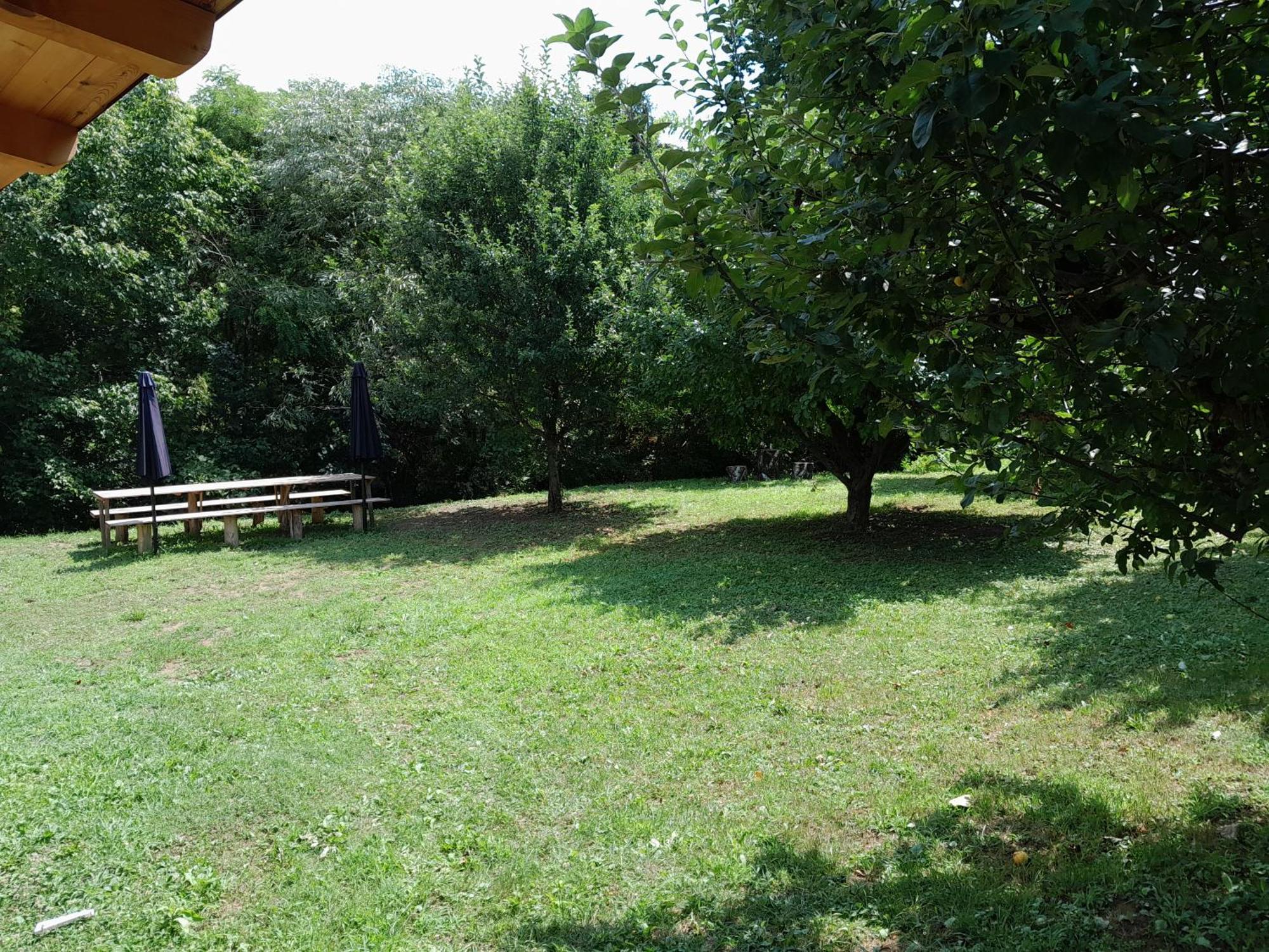 Nica Wood Villa Sremska Kamenica Exteriör bild