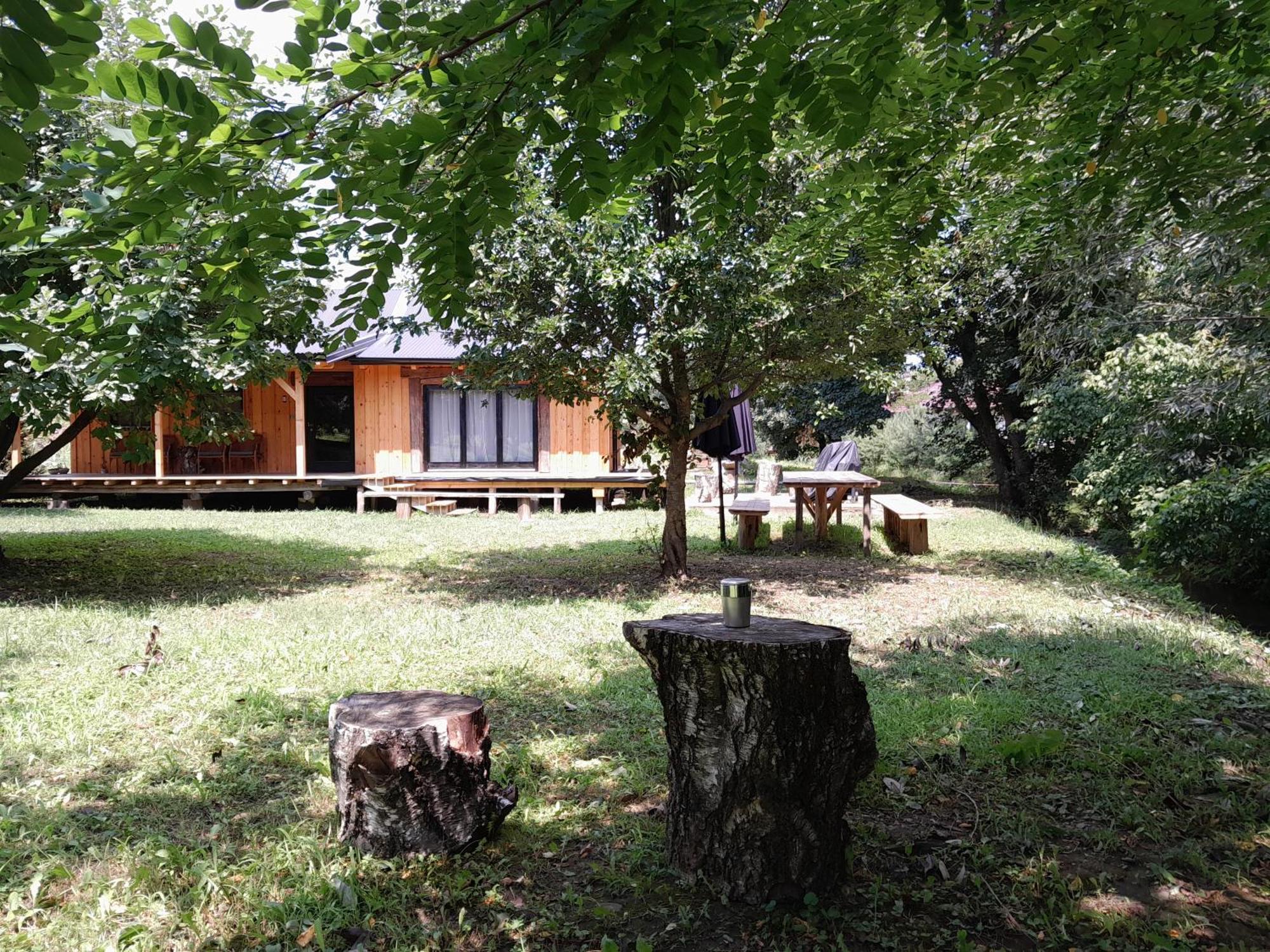Nica Wood Villa Sremska Kamenica Exteriör bild